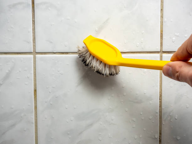 Best Commercial Mold Removal  in Maquoketa, IA