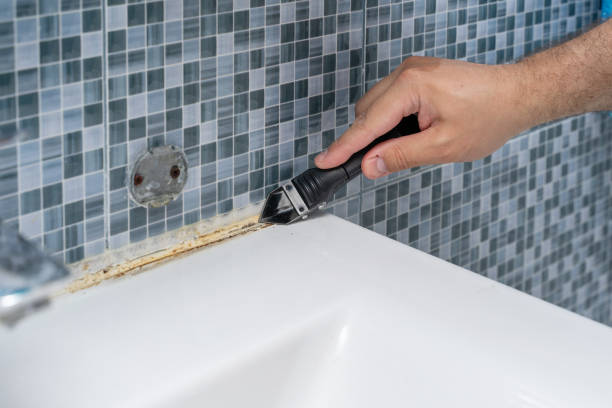 Best Mold Remediation  in Maquoketa, IA